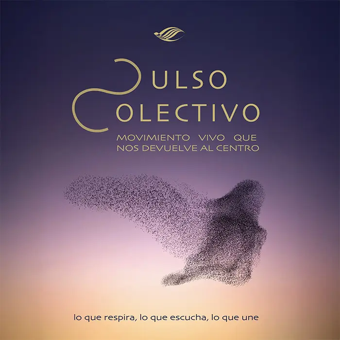 Pulso_Colectivo_1