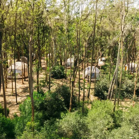 bigbang_bosqudomos_2