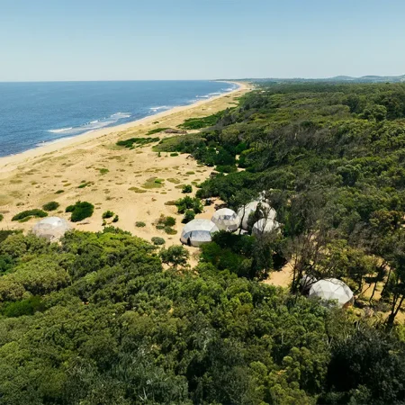 bigbang_bosquemardomos