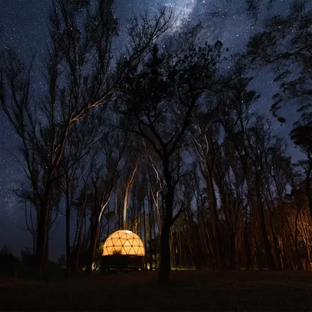 bigbang_domo_noche_2